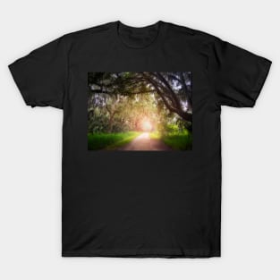 Sunlit Trail T-Shirt